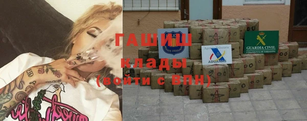 хмурый Алексин