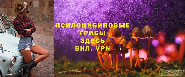 хмурый Алексин