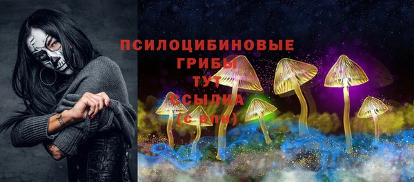 СК Алексеевка