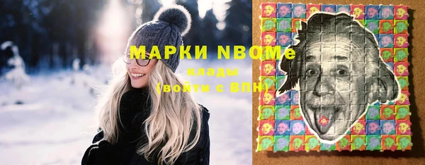 хмурый Алексин
