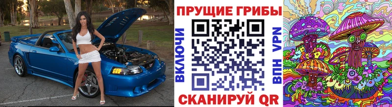 Псилоцибиновые грибы Cubensis  Талдом 